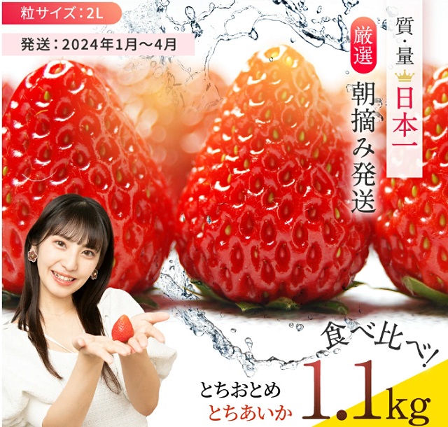 栃木県　真岡市　「いちご とちおとめ・とちあいか 1.1kg 食べ比べ セット」